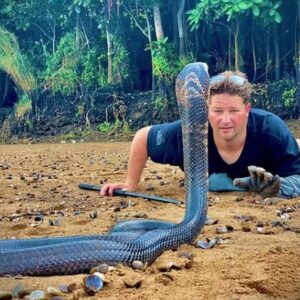 Steve Irwin sul-africano morre após ser picado por uma mamba negra