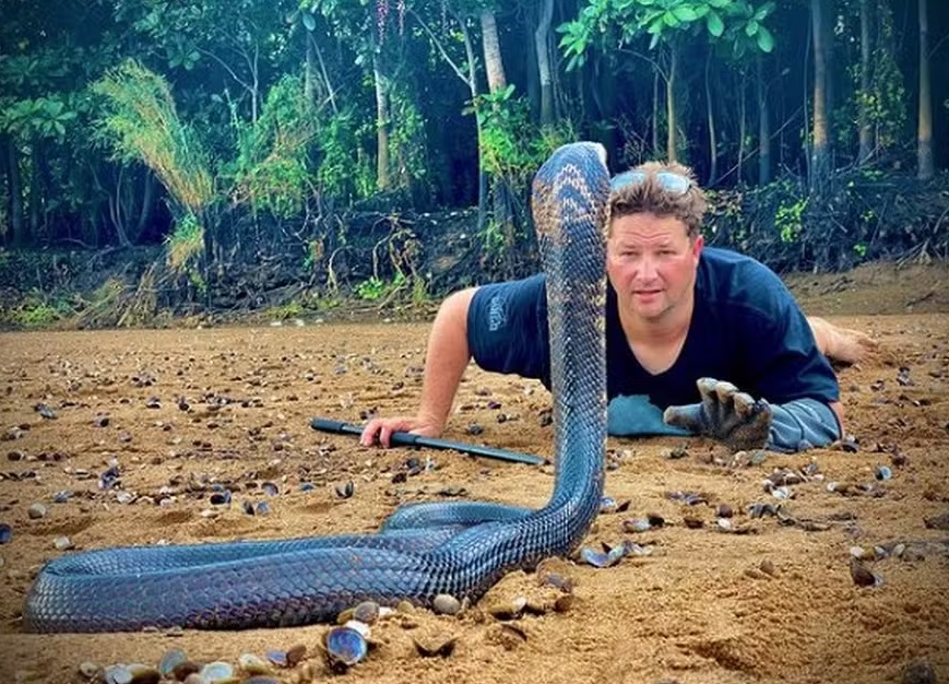 Steve Irwin sul-africano morre após ser picado por uma mamba negra