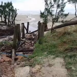 Tsunami meteorológico destrói ponte, derruba muros e árvores, e atinge casas no Sul de SC