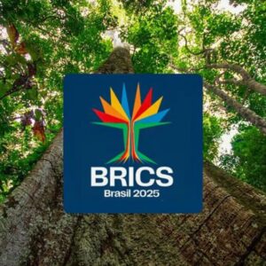 Brics têm mais de 40% da população e 37% do PIB mundiais