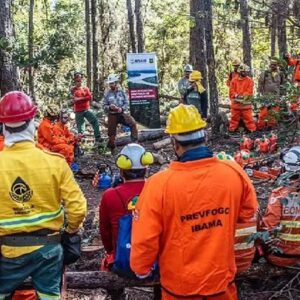 Trump suspende parceria entre EUA e Brasil contra incêndios florestais