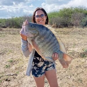 Tilápia gigante é pescada em açude de Picuí