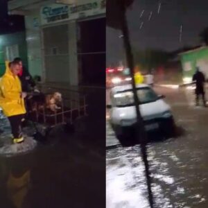 Bombeiros resgatam duas pessoas com deficiência visual e animais de alagamento em Natal