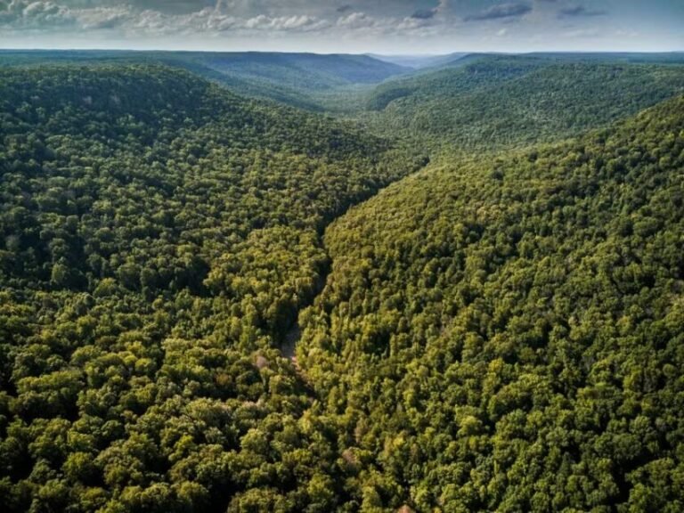 Foto de Drone