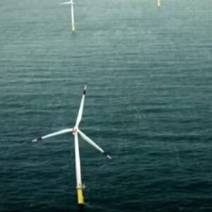 Ibama concede primeira licença prévia para projeto de eólica offshore no Brasil