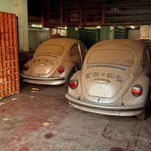 Loja da Volkswagen é reaberta para vender Fuscas 0 km