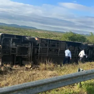 Ônibus da Progresso colide contra cavalo, capota e deixa vítimas na BR-232