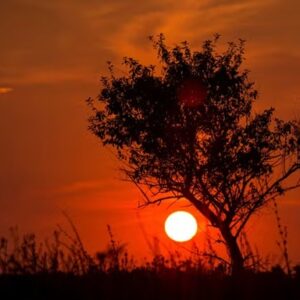 Março pode ter a semana mais quente da história no Brasil