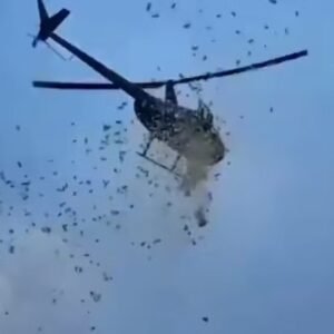 ‘Chuva de dinheiro’: helicóptero lança R$ 27 mil para cumprir último desejo de milionário