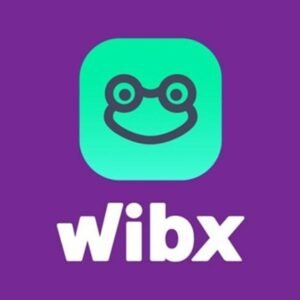 Você conhece a criptomoeda brasileira Wibx?