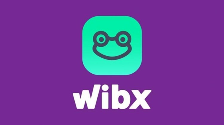 Você conhece a criptomoeda brasileira Wibx?