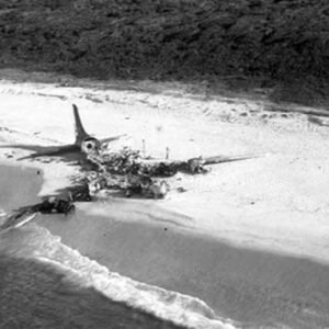 A foto do ‘avião do ouro’ carbonizado após pouso forçado na Ilha Grande
