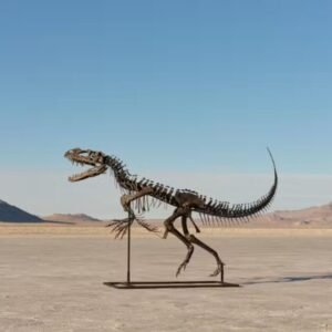 Dinossauro de 150 milhões de anos irá a leilão – e pode custar até R$ 32 milhões