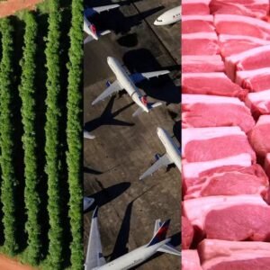 Como a tarifa de 50% vai mexer nos preços no Brasil? Café, carne e combustível vão ficar mais caros?