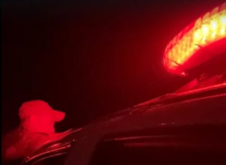 Criança em Jucurutu