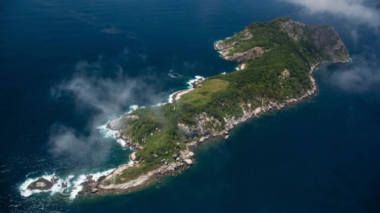 Ilha das Cobras