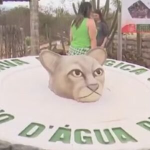 Reserva ecológica ajuda a preservar a Caatinga e promove ecoturismo em Picuí