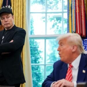 Trump deixa Elon Musk de fora de jantar com chefes de big techs na Casa Branca