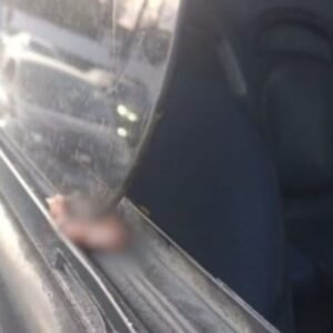 Passageira encontra dedo humano preso em janela de ônibus