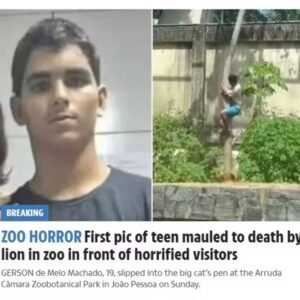 Caso de jovem morto por leoa na Paraíba repercute na mídia internacional