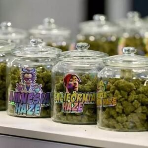 EUA: Trump propõe reclassificar maconha para categoria menos ‘perigosa’ e facilita pesquisas médicas