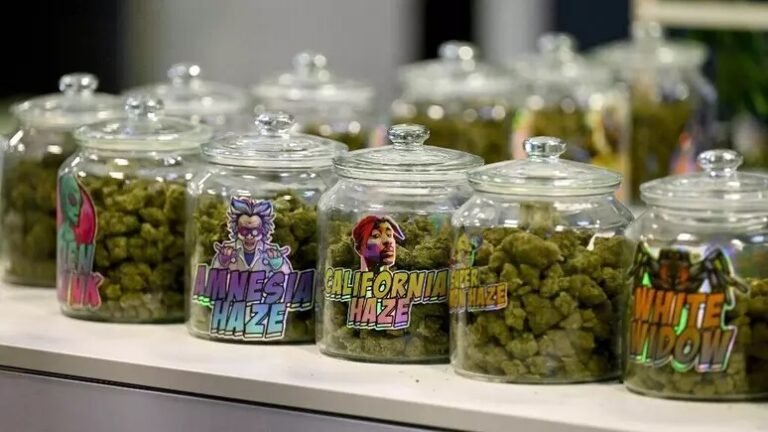 Maconha