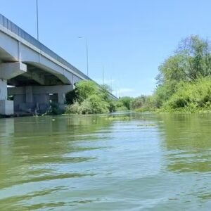 Novo ataque de piranhas em rio no RN deixa banhista ferida