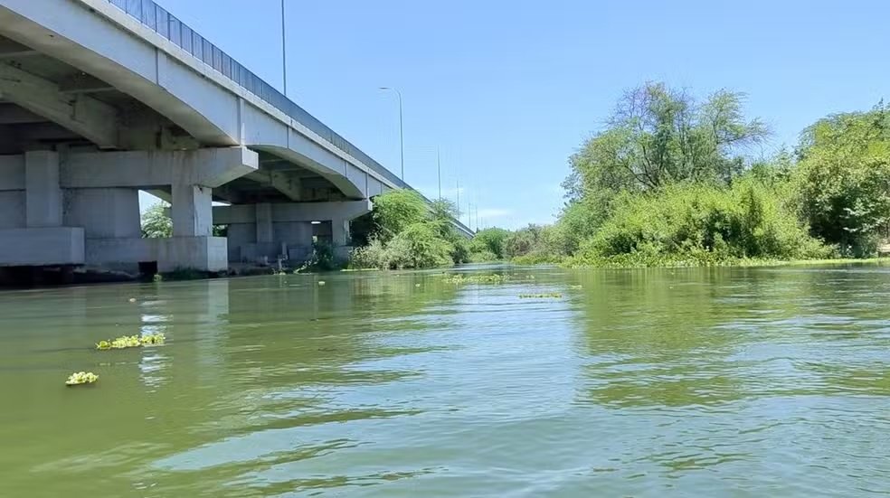 Novo ataque de piranhas em rio no RN deixa banhista ferida
