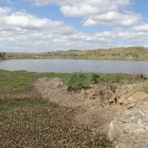 Veja a situação de cada açude na Paraíba; 40 estão em situação crítica