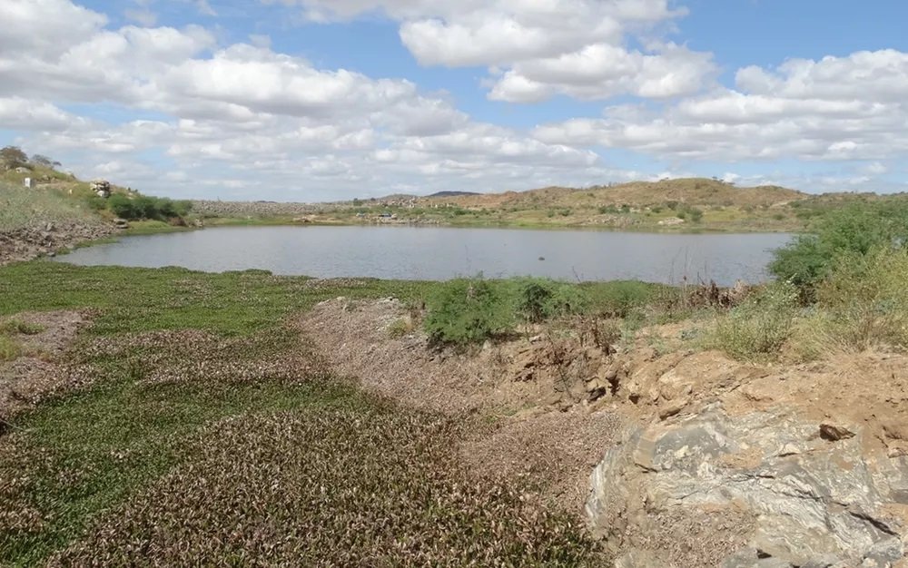 Veja a situação de cada açude na Paraíba; 40 estão em situação crítica