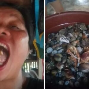 Influenciadora morre após comer ‘caranguejo do diabo’ em vídeo