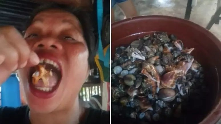 Influenciadora morre após comer ‘caranguejo do diabo’ em vídeo