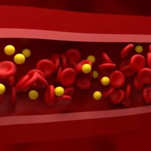 4 alimentos que ajudam a melhorar o colesterol e protegem o coração