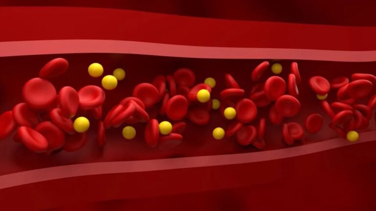 Sangue