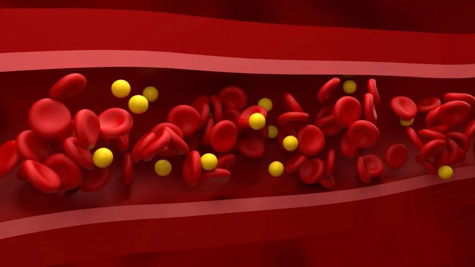 4 alimentos que ajudam a melhorar o colesterol e protegem o coração