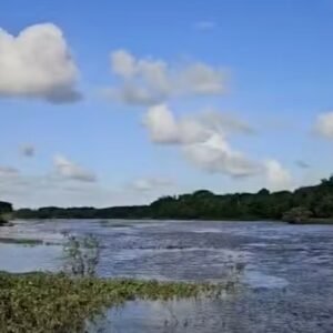 Corpo de homem que desapareceu após afogamento é encontrado em rio, no Litoral da Paraíba