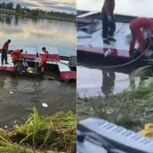 Acidente com ônibus e três carros deixa dois mortos e 14 feridos na BR‑222, no MA