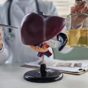 Beber muito álcool de vez em quando pode triplicar o risco de danos ao fígado