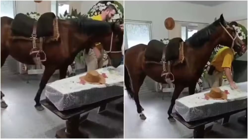 Égua que relinchou ao ver tutor em caixão foi levada ao velório a pedido da filha dele: ‘Muito emocionante’