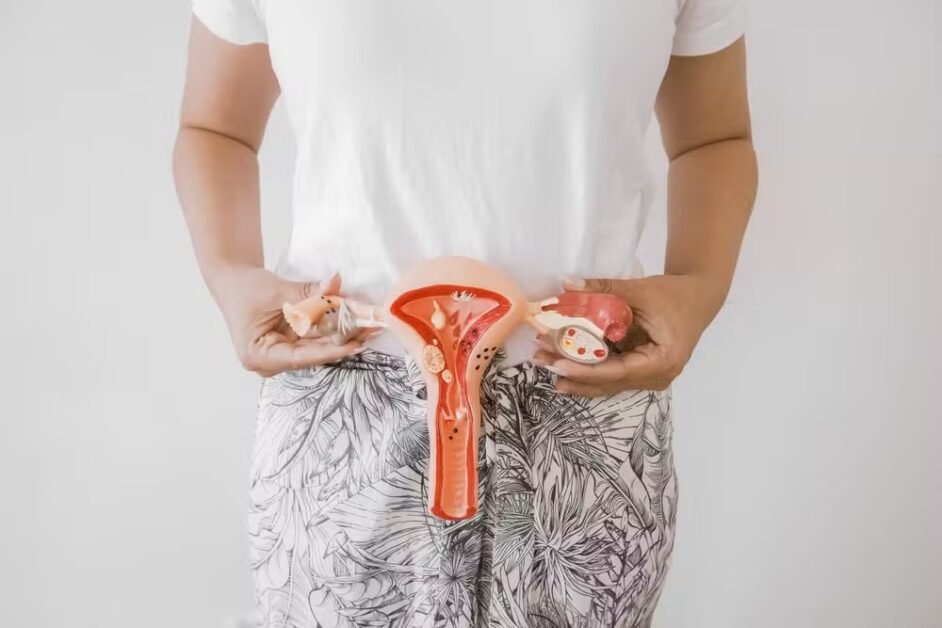 Menopausa muda o cérebro? Entenda como a queda do estrogênio afeta o humor