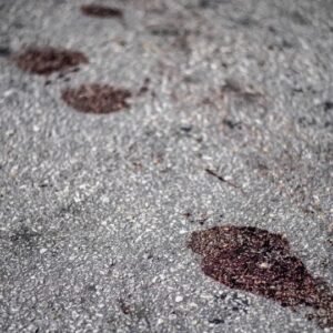 Ladrão chora e pede perdão após ser baleado durante assalto: ‘tenho filho pequeno’