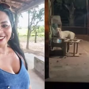 Mulher morre após ser atacada pelo próprio pitbull enquanto dava banho no animal