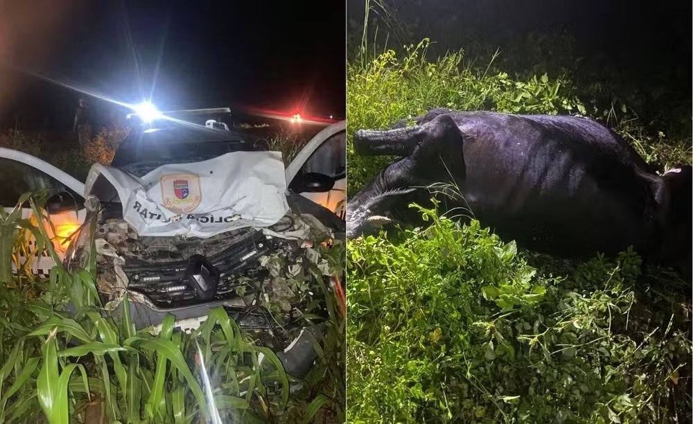 Viatura da PM atinge vaca e sai da pista na BR-405 no RN