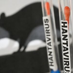 O que é e como se transmite o hantavírus, responsável por três mortes em cruzeiro no Atlântico