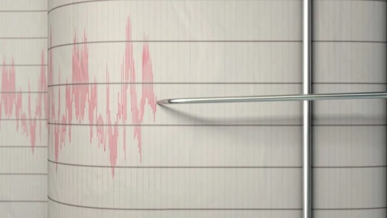 Estados brasileiros sentem tremor de terra e prédios são evacuados