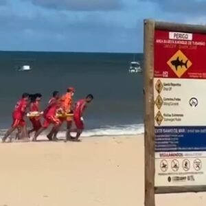 Garoto é mordido por tubarão na Praia de Piedade, em Jaboatão dos Guararapes