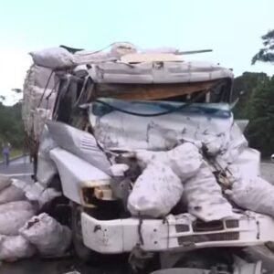 Motorista morre após colidir caminhão em carreta rebocada de ré na BR-101, na Grande João Pessoa