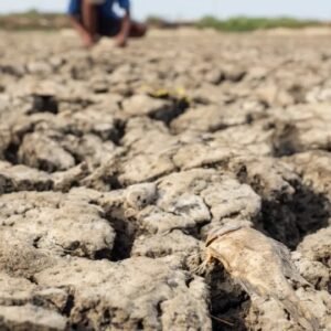 Efeitos do El Niño no Brasil vão além dos alimentos e devem atingir energia, transportes e varejo