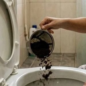 Borra de café no vaso sanitário realmente elimina odores? Entenda