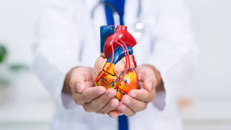 Cardiologistas destacam alimento que pode ajudar a proteger o coração